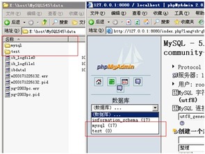 mysql数据库路径怎么看(如何查看和更改mysql数据库文件存放位置)