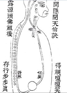 任督二脉在身体哪个部位 