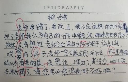 小学生检讨书走红, 藏头诗 暗指老师长得丑,网友 是个人才