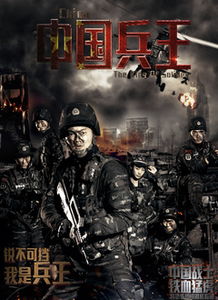 中国兵王电影,中国兵王:一部涵盖历史、英雄主义与人性探讨的电影