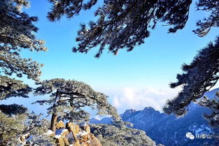 泰山币这么火 我太难了