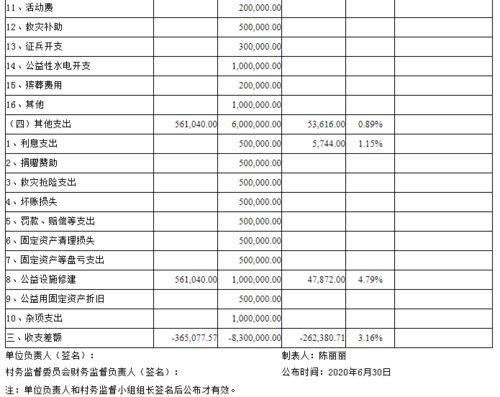 2020年6月份 村务公开 