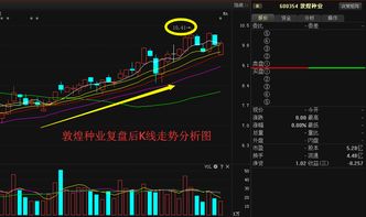 今天敦煌种业换手率之高，不知道主力进入还是？