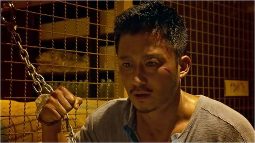 香港电影杀破狼,精彩的动作场面