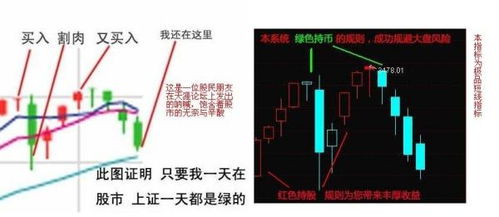 我想知道自己的炒股水准