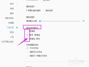 网易云音乐如何设置音乐命名格式 