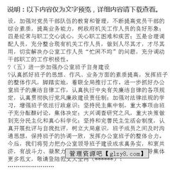 政府办公室作风整顿自查汇报与整改方案