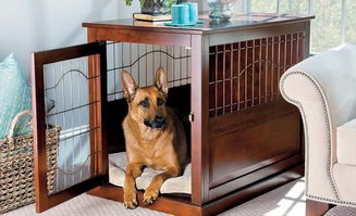 关笼子并非是惩罚,我们可以让狗狗在笼子里面感到安心 