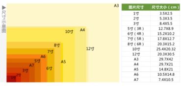 长15宽10厘米的照片是几是4.5寸还是五寸 