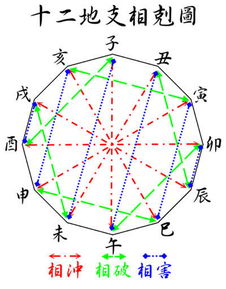 八字有合有冲,先论合再论冲,后定旺衰