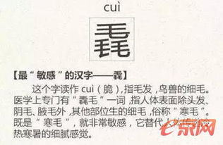 涨姿势 史上最难认的22个汉字,你认得几个