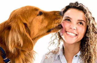 为什么狗狗爱舔你的脸