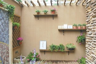 盆栽新玩法 植物爬上墙 