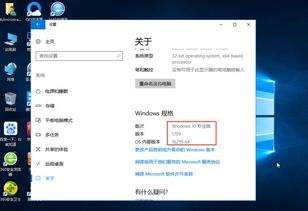 电脑安装的软件打不开win10