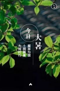 大暑时节 流萤细语 静夜澄明 