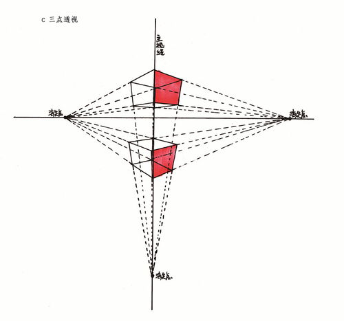 透视镜的原理是什么,透视眼镜的原理-第4张图片