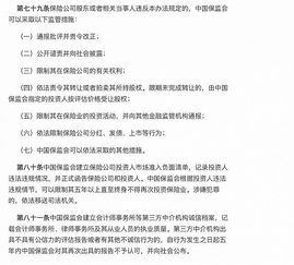 公司说我造成了重大资产损失，我是股东，如果要查账，应该查哪些？