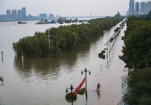 长江中下游洪水洪峰顺利通过汉口江段