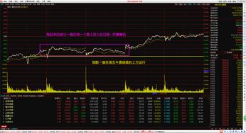 通达信如何创建板块指数