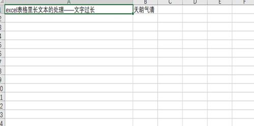 excel表格里长文本的处理 文字过长