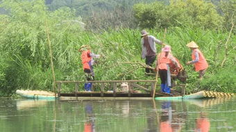 和顺水环境治理让陷河重现 碧波古韵