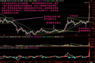 在股市中，如果我想买一只股票，是怎么进行出价的？