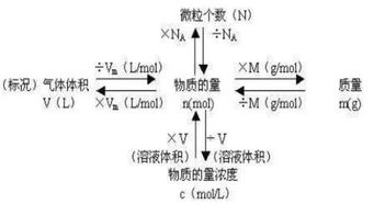 MOL是什么意思？（不是指化学中的摩尔）