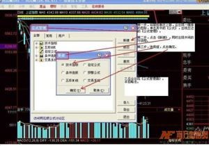 股票中的指标公式编辑器的参数 最小 最大 缺省 是怎样设置的？各有什么意义？