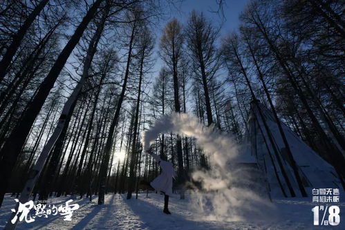 沉默的雪 定档1月8日 九年磨一剑 惊喜出鞘