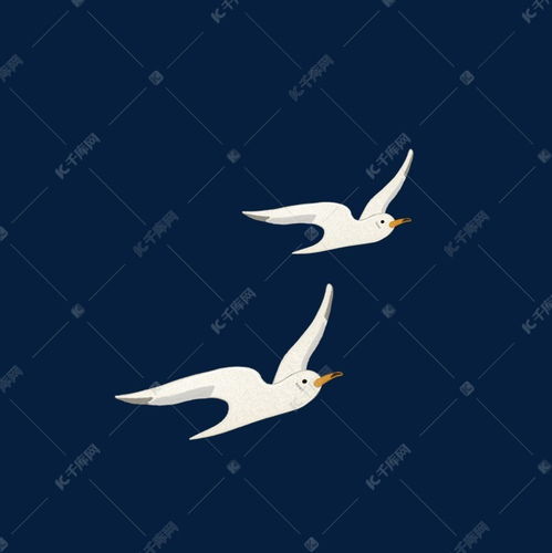 两只白色的大鸟在飞翔素材图片免费下载 千库网 