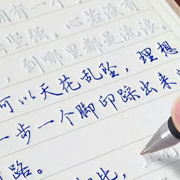 成人想要速成练出一手好字,这些字帖练字更方便,有效又好用