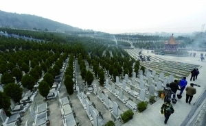 南京墓地每平方米均价超2万 20多年涨20多倍 