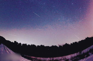 沈阳天文爱好者冒严寒整夜守候双子座流星雨 