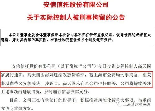 青年基金查重：中标前必须了解的重要信息