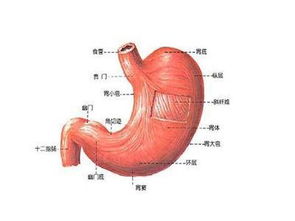 男人最脆弱的6个部位