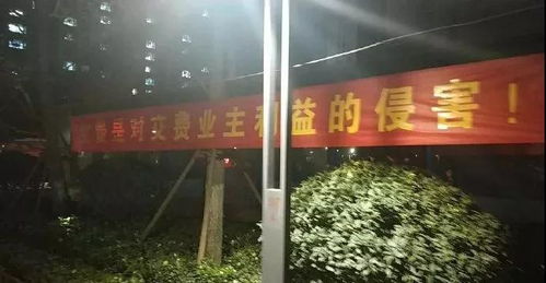 小朋友,问问你家长 杭州一小区挂横幅花式催物业费