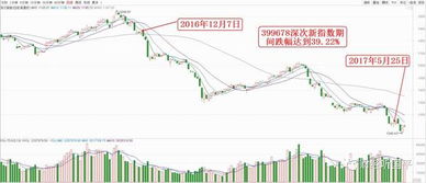 新能泰山股票停牌3个月，复牌已连续跌停5个工作日了，为什么