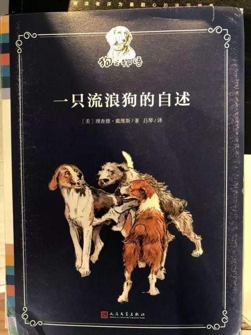 我们和狗狗的故事 l 一起度过愉快的新年假期 