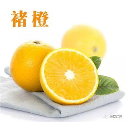 中国哪里的脐橙最好 12个城市12个橙,看看哪个是你最爱吃的橙子 