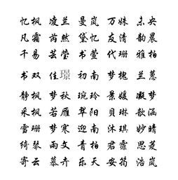 木字旁起名女宝