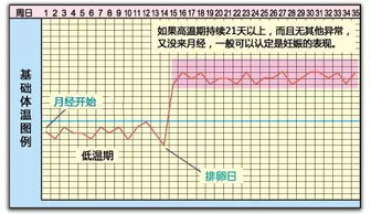 若您迷失在误区里,怀孕将遥遥无期 上