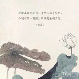 那些带有禅意的诗词,你最喜欢哪首 