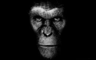人猿星球和猩球崛起的凯撒,人猿泰山1995末删减版激战丛林bt