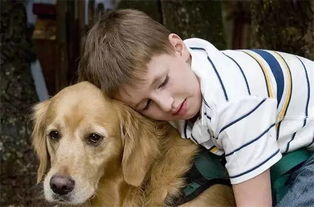 狗狗可以忠诚到什么程度 10个关于介助犬的故事告诉你它们是人类最忠实的伙伴