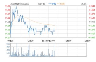 荗硕电源股票代码