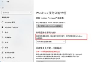 win10预览体验计划如何选择