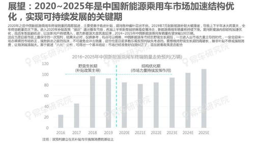 查重报告全解析：查重率背后的秘密