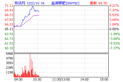 盐湖钾肥股票明日如何操作