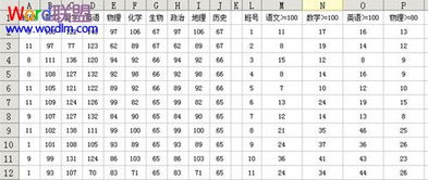 wps表格自动求和统计考试成绩 