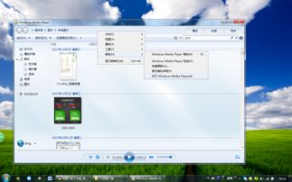 怎样查看Windows Media Player版本